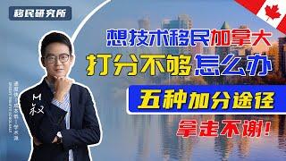 想一步到位技术移民加拿大，打分不够怎么办？五种加拿大技术移民加分途径拿走不谢！#技术移民 #加拿大技术移民 #加拿大移民# 移民加拿大 #加拿大雇主担保移民 #雇主担保移民 #加拿大联邦技术移民