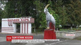 Козел розбрату. На Чернігівщині у селі Козелець поставили пам'ятник козлу