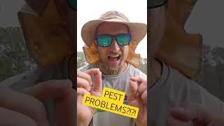 pest eating up your lawn?!?! I have the how-to lawn kits to prevent that. #lawncare #lawntips #pest