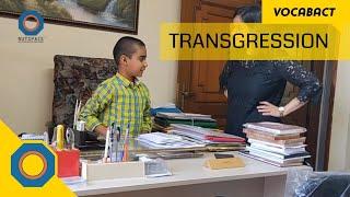 Transgression Meaning | VocabAct | NutSpace