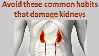 Common Habits That Damage Kidneys - How to Keep Your Kidneys Healthy