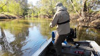 Absolute "Codfest" 2022 Murray cod bait fishing from a boat with cheese and worms