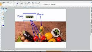 Canvas X - Using the Annotation Tool