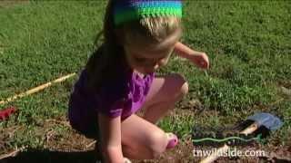 Nature at Home-Nature Play for Kids