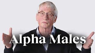 The ‘alpha male’ myth, debunked | Frans de Waal