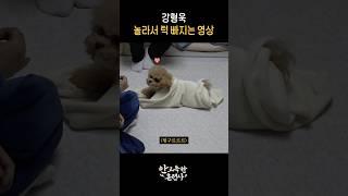 이게 된다고?