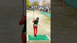 #파크골프 #파크골프티샷