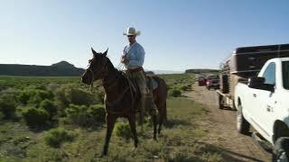 Why Ranchers use public land.