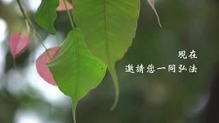 佛門網--現在和我們一起弘法