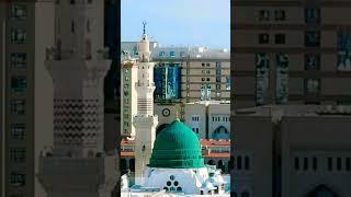 Roza e Rasool #8millionviews#viralvideo#youtubeshorts#ytshorts#islamic#viralshorts