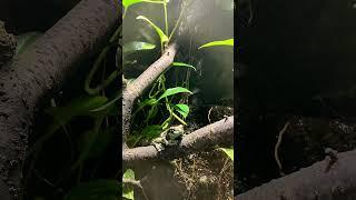 zoo experience