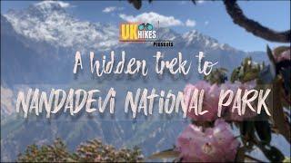 3 minutes to Nanda Devi national park || नन्दा देवी राष्ट्रीय उद्यान || via Suraithota, Suki village