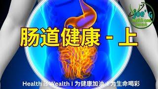 肠道健康 -上 I Joegy Health Gem