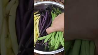 EARLY SUMMER GARDEN HARVEST | July 5, 2024 | Connecticut #Garden #zone6b