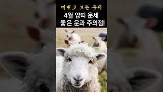 2025년 4월 운 좋은 양띠 운세! 이것을 미리 알면, 운의 흐름을 좋게 할 수 있습니다! 띠별로 보는 한달간 운세!  #띠별운세, #운세,