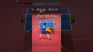 Tomokazu Harimoto vs Jun Mizutani #harimoto #junmizutani  #tabletennis #pingpong #wtt #ittf #shorts