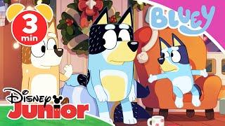  Bluey - Clip: Der Veranda-Mann | Disney Junior