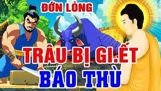 Luật Nhân Quả Không Bỏ Sót 1 Ai, Đớn Lòng TRÂU BỊ GI.ẾT OAN BÁO OÁN - Kinh Hãi Quả Báo Tội Sát Sinh