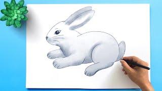 How to draw a Rabbit Easy Step by Step  Easy Bunny Rabbit Drawing Tutorial