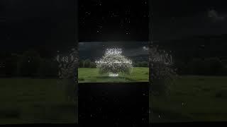 سورة غافر|48-49|القارئ:#محمد_اللحيدان #قران #quran #راحة_نفسية #قران_كريم #تلاوة_هادئة ##تلاوة_خاشعة