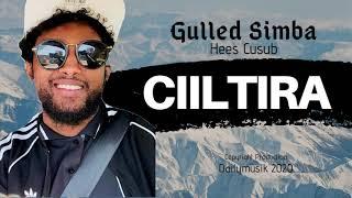 Gulled Simba - CIILTIRA Hees Cusub (Official Music)