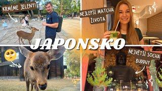 KLANÍCÍ SE JELENI, VYRÁBÍME MATCHU, NEJVETŠÍ CHRÁM V JAPONSKU! (vlog kubaadanca)