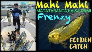 Mahi Mahi Frenzy: Adrenaline-Pumping Fishing Adventure | Best Fishing Techniques