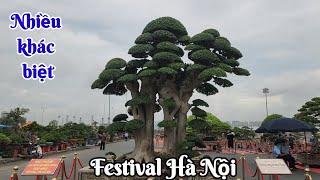 Triển lãm Festival Hà Nội [VD 01] Những TP đại thụ