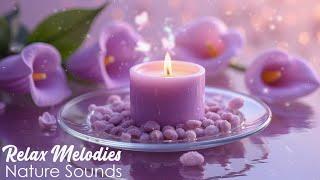 Spa Music and Water Sounds that Calm The Mind  Sleep Music, Relaxing Music