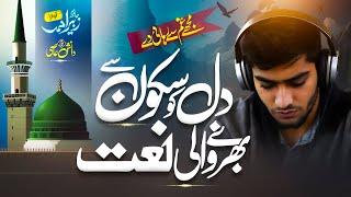 New Naat Shareef 2025 | Muje Gham Se Rihayee De | Hafiz Zubair | Nasheed Club | Naat Sharif 2024