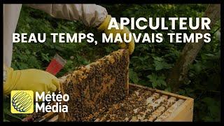 Être apiculteur québecois | Beau Temps  Mauvais Temps