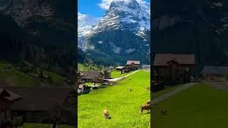 The most beautiful places in Switzerland - Grindelwald - Jungfrau area