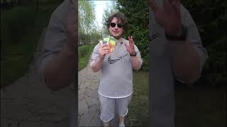 Лучшие цветы сразу в грунт 