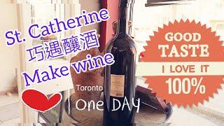 ＃Ivy分享生活點滴＃Diy美食＃加拿大多倫多＃ Canada Toronto Vlog #移民加拿大＃St. Catherine's 奇遇風評五星級的釀酒師