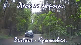 Лесная дорога Зелёное Крыжовка Минский район. Forest Driving tour. Travel by car. Beauty of Belarus.