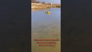 Хлорелла для Пруда. Карпы кислород 8,4 за 5 месяцев водорослей в водоеме