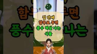 집 안에 함부로 두면 풍수 박살 나는 식물  #재물운 #귀인운 #횡재수 #로또운 #띠운세 #돈복 #재물운 #로또운세