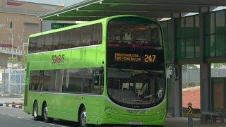 SBS Transit Bus Service 247, SG5460K (Full Trip)