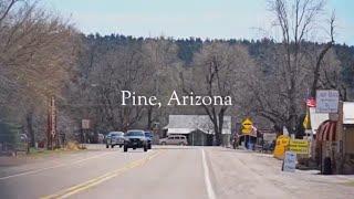 Pine Arizona Real Estate