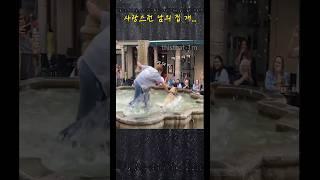 사랑스런 남의 집 개 #댕댕이 #물놀이 #분수 #집사 #puppy #fountain