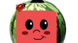Cocomellon In Real Life