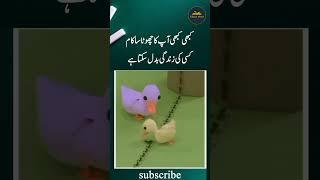 Khush Rahen Khush Rakhen Yahi Asal Zindagi Hay | Kahaani Writes | Best Youtube Shorts #shortsvideos
