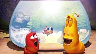 LARVA - AQUARIUM | Larva 2017 | Cartoons | Comics | Larva Cartoon | LARVA Official