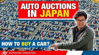 Japan Auto Auctions: Buy a car from Japan | used cars importing