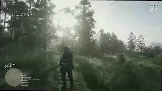 *NEW* RDR2 ONLINE - MOD MENU MENU | BEST FREE HACK | RDR2 LATEST UPDATE | MANY FUNCTIONS