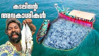 കടലിൽ മീൻ പിടിക്കാൻ കടലിന്റെ മക്കളുടെ ഒപ്പം | Sea Fishing | Day In My Life | M4 Tech |