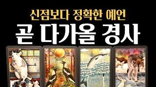 [타로] 하늘의 신호 3개월 내 쏟아질 인생 경사