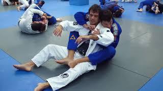 BJJ: How often should I train? - Bruno Fernandes