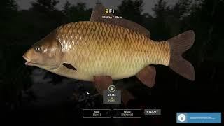 COPPER LAKE TROPHY F1 + ACTIVE SPOT | Russian Fishing 4 #russianfishing4