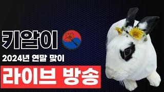 키알이 2024년 연말 맞이 라이브 스트리밍 방송